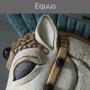 Equus-by-daniel-cullen